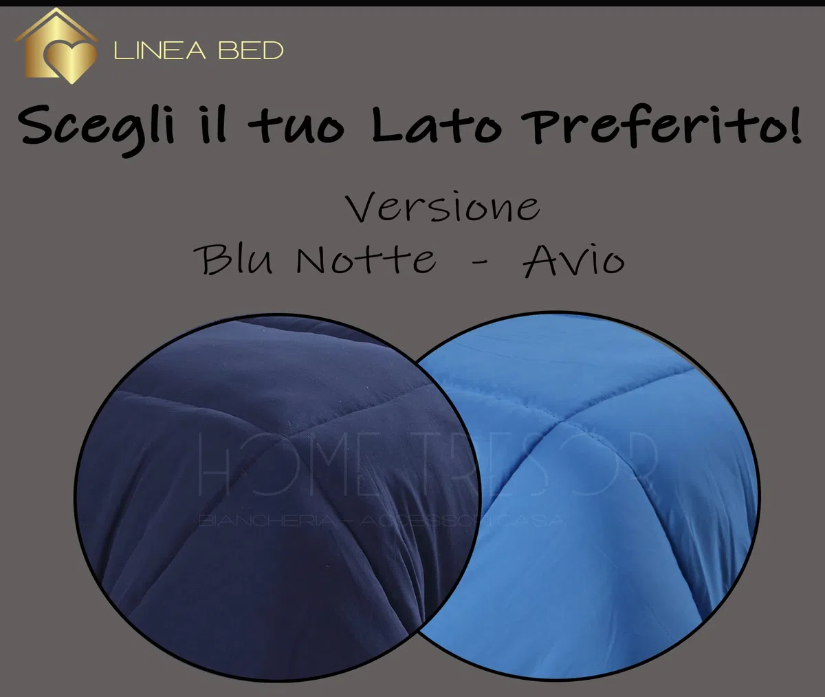 Home Tresor - Piumone Piumino Invernale Caldissimo Imbottitura in Morbida Microfibra Anallergica Soft 300 gr/mq Qualità Premium Reversibile Bicolor (Blu/Avio, Singolo cm. 155x200)