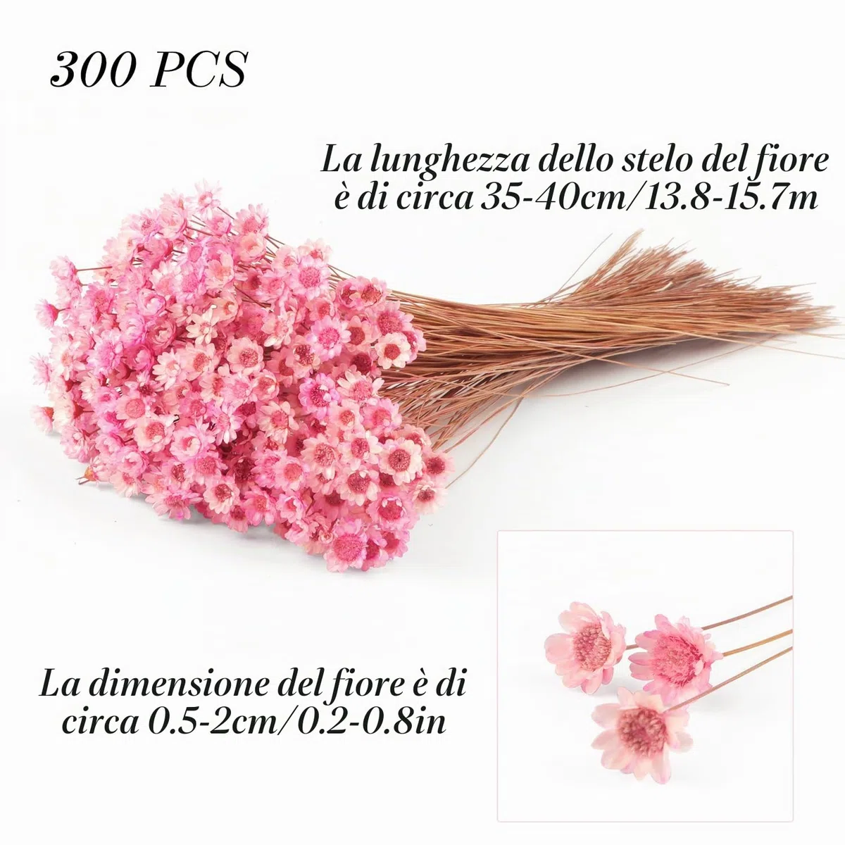 300 fiori secchi brasiliani piccoli fiori secchi decorativi rosa mini margherita essiccati bouquet di camomilla per vacanze decorazione festa fai da te casa matrimonio composizioni floreali secche