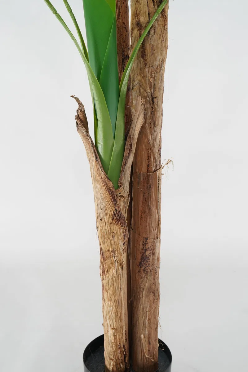 Pianta Artificiale di Banano con Corteccia Naturale, Foglie in PVC, Varie Misure, per Interni Residenziali e Commerciali (Chiquita 180 cm - 3 tronchi)