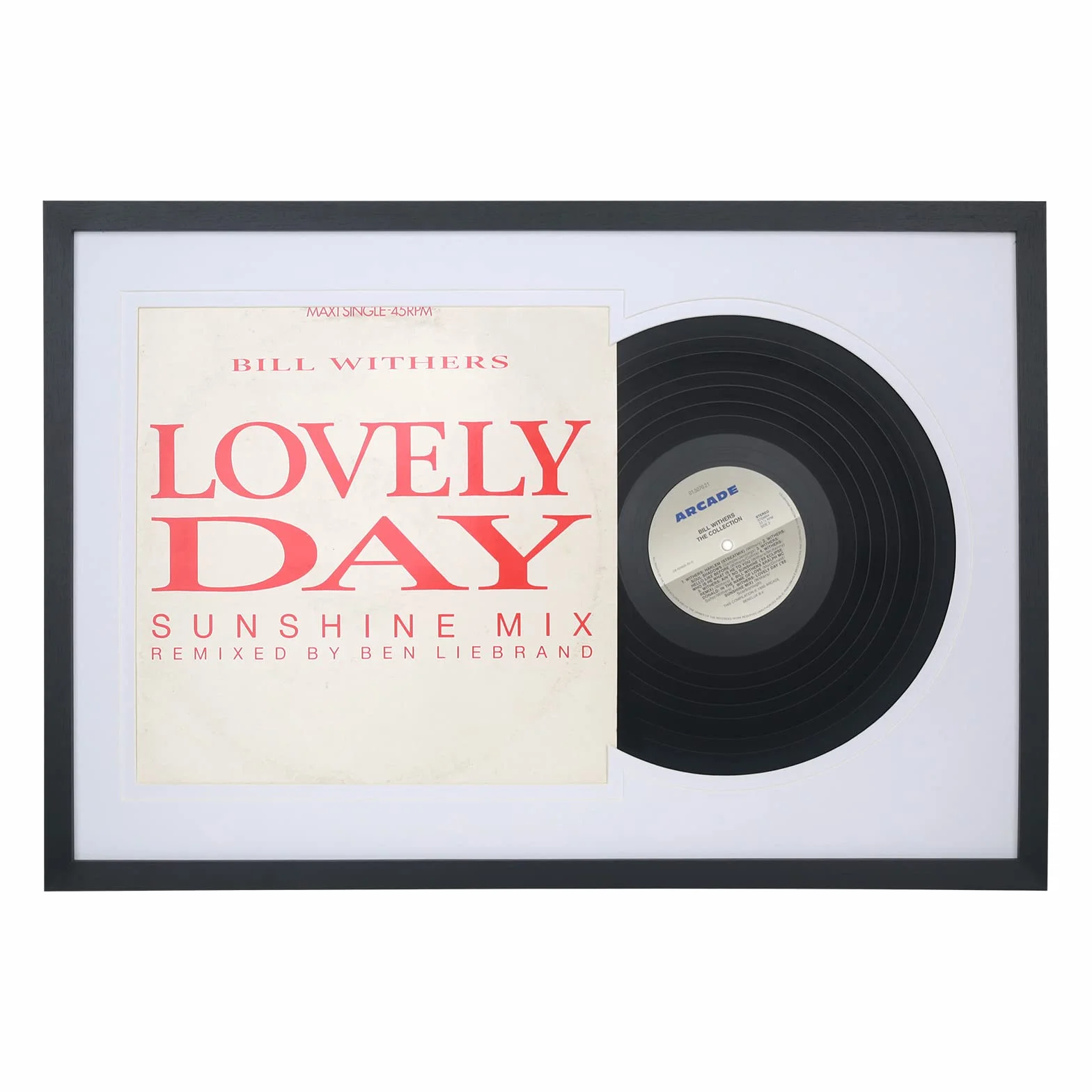 Cornice per dischi in vinile da 30,5 cm, per esporre dischi LP da 30,5 cm e copertina da 30,5 x 30,5 cm, 12 album musicali, 12 dischi jukebox (UX22B1624WW)