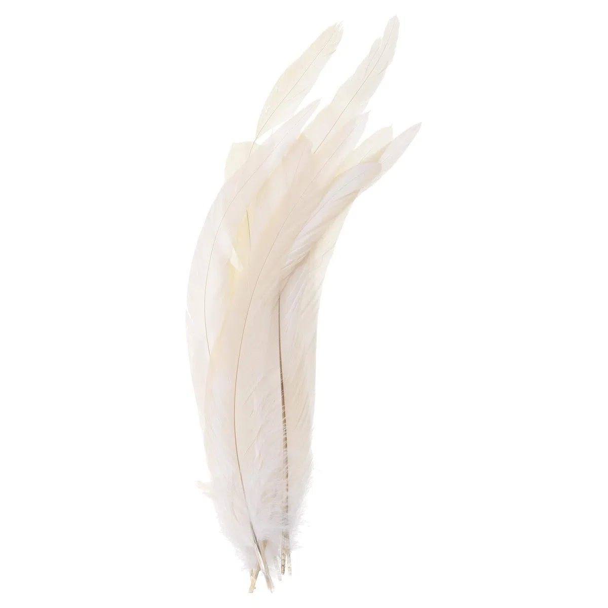 PATIKIL 10-12" Gallo Piume, 50pz Sfuso Naturale Piume per Artigianato Carnevale Lavoro Manuale Abbigliamento Costumi Matrimonio Festa Stile 1, Bianco