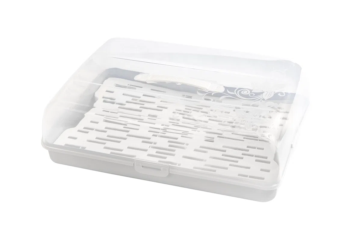 BranQ Home essential Contenitore rettangolare per torta con 2 inserti refrigeranti in plastica (PP) con copertura alta, pratica maniglia, senza BPA, trasparente/crema