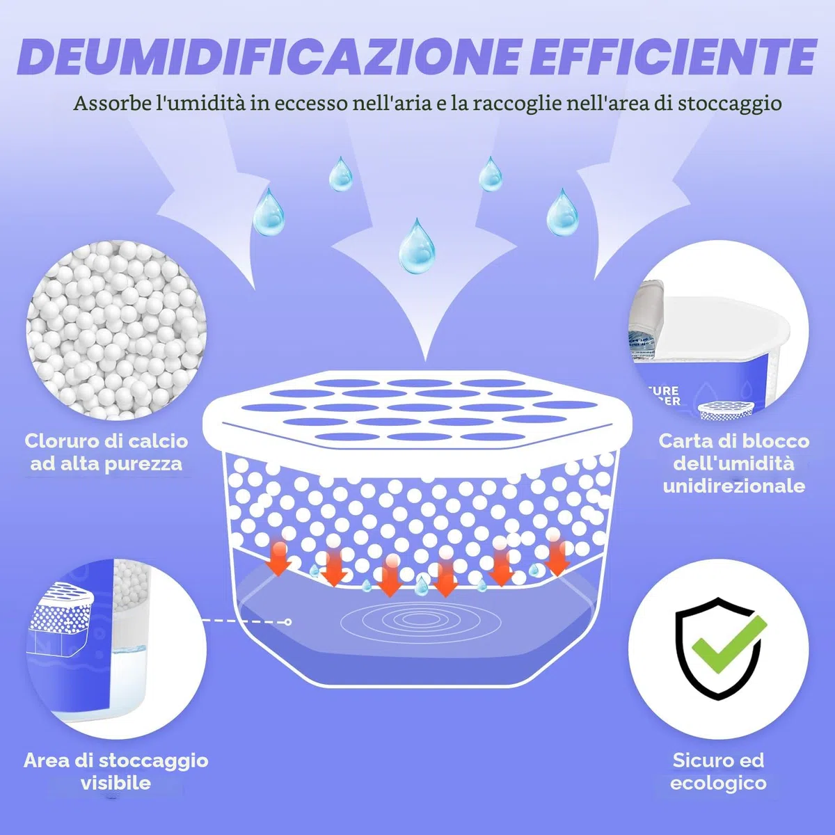 CLEVAST 6 Pezzi Deumidificatore casa muffa, Assorbitore di Umidità per Ambienti, Neutralizzatore di Odori, Deumidificatore per Cucina, Armadio, Bagno e Studio