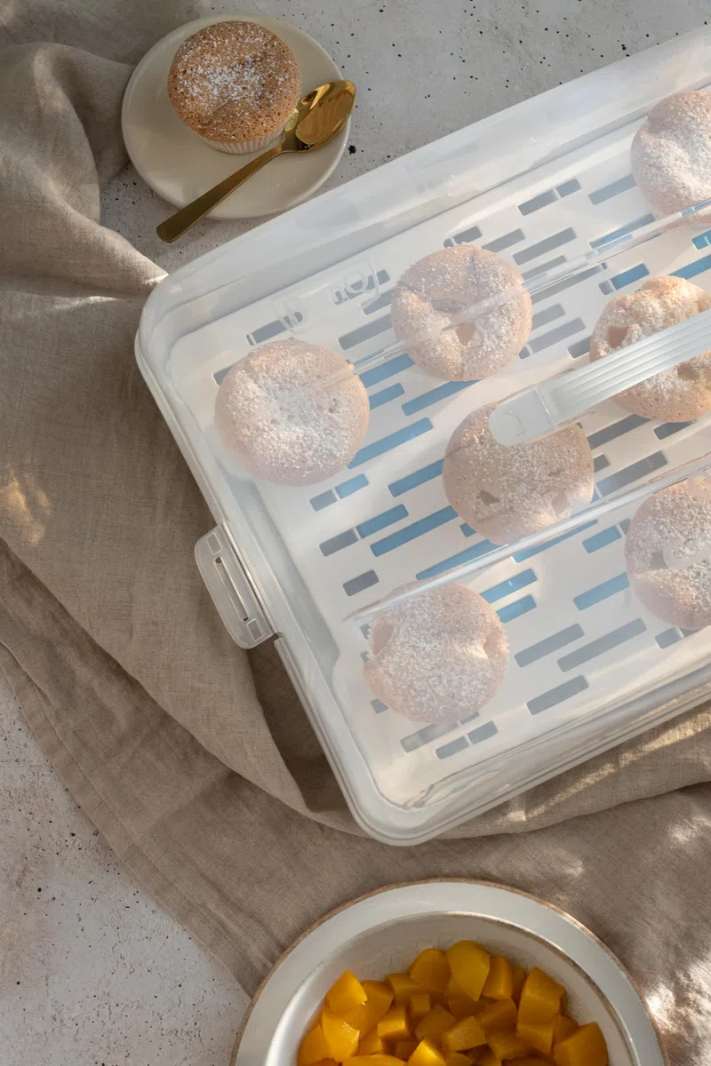 BranQ Home essential Contenitore rettangolare per torta con 2 inserti refrigeranti in plastica (PP) con copertura alta, pratica maniglia, senza BPA, trasparente/crema
