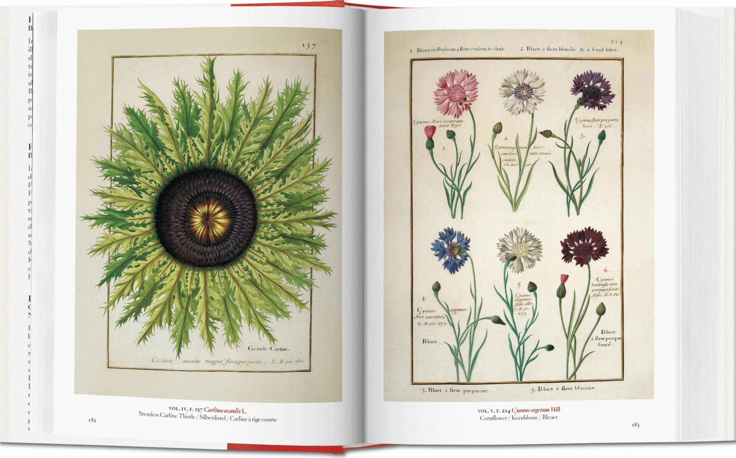 A Garden Eden / Ein Garten Eden / Un Jardin d'Eden: Masterpieces of Botanical Illustration / Meisterwerke der Botanischen Illustration / Chefs-D'Oeuvre de L'illustration Botanique