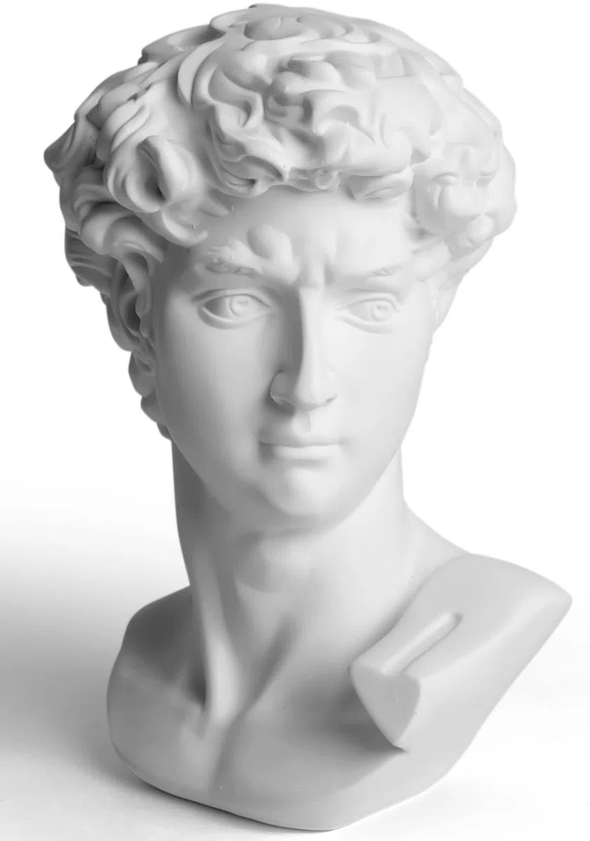 Garwor Statua di David a forma di testa di Michelangelo, busto da 15,2 cm, classico busto greco romano, decorazione per casa e ufficio