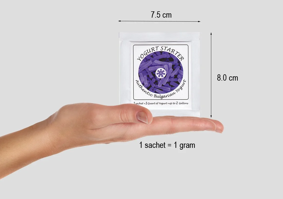 Fermenti per Yogurt - Pacco di 12 Bustine di Colture Liofilizzate per Autentico Yogurt Bulgaro