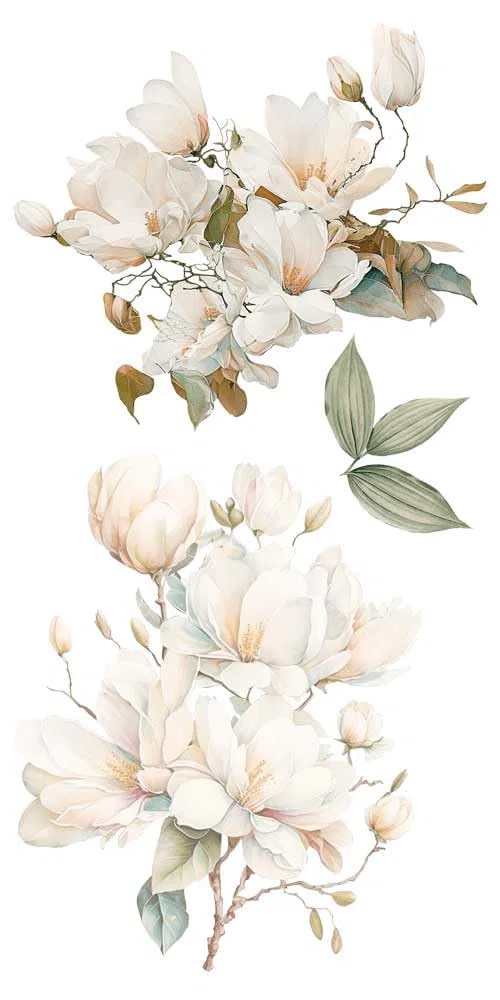 Papers For You - Trasferimenti decorativi per artigianato e mobili/adesivi di trasferimento decorativo/15 x 30 cm 6"x 12" 4 fogli (Magnolie)