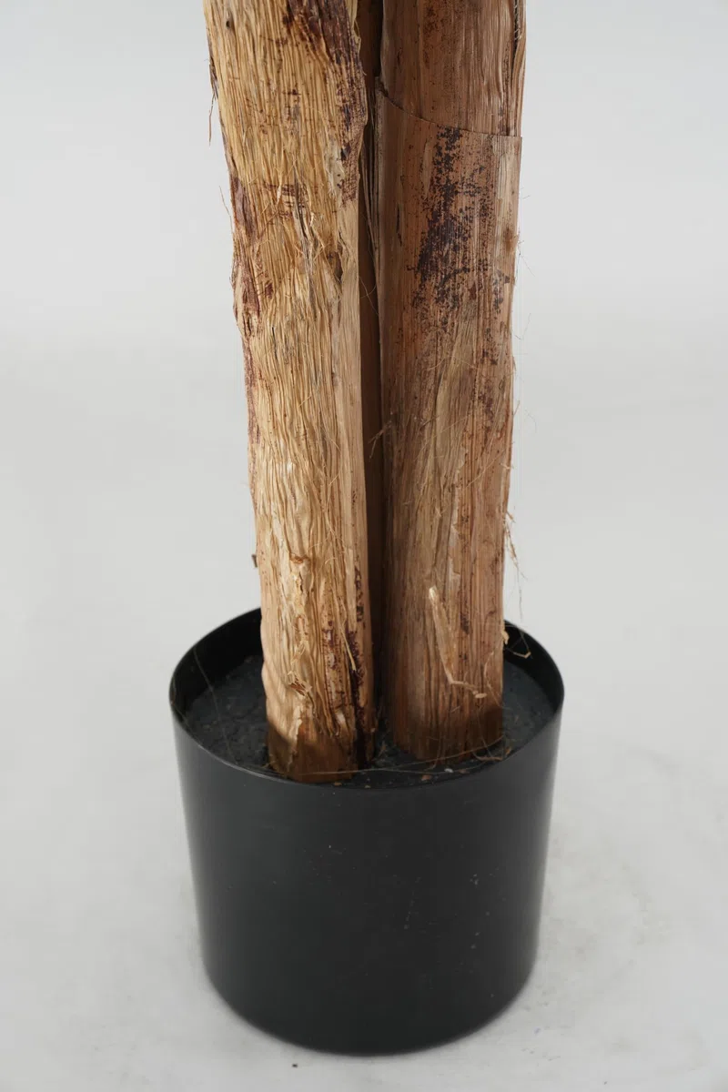 Pianta Artificiale di Banano con Corteccia Naturale, Foglie in PVC, Varie Misure, per Interni Residenziali e Commerciali (Chiquita 180 cm - 3 tronchi)