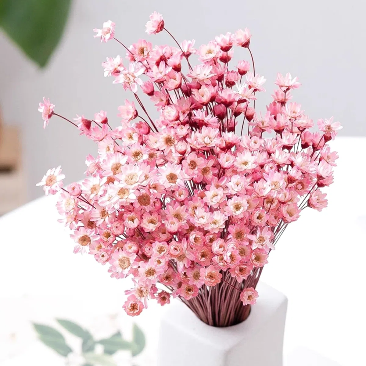300 fiori secchi brasiliani piccoli fiori secchi decorativi rosa mini margherita essiccati bouquet di camomilla per vacanze decorazione festa fai da te casa matrimonio composizioni floreali secche