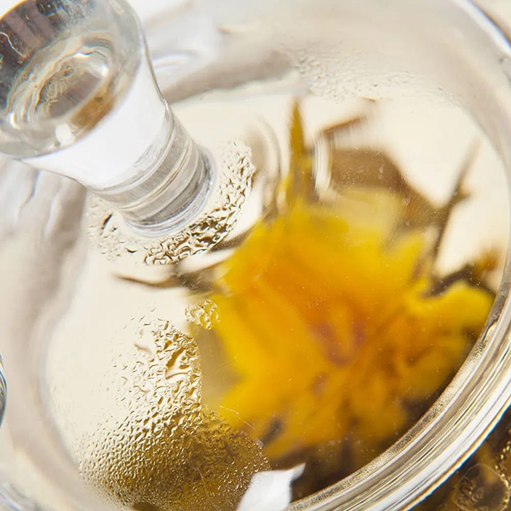 TEA SOUL Teiera in Vetro con Filtro in Acciaio • 500ml • Pratico Filtro nel beccuccio