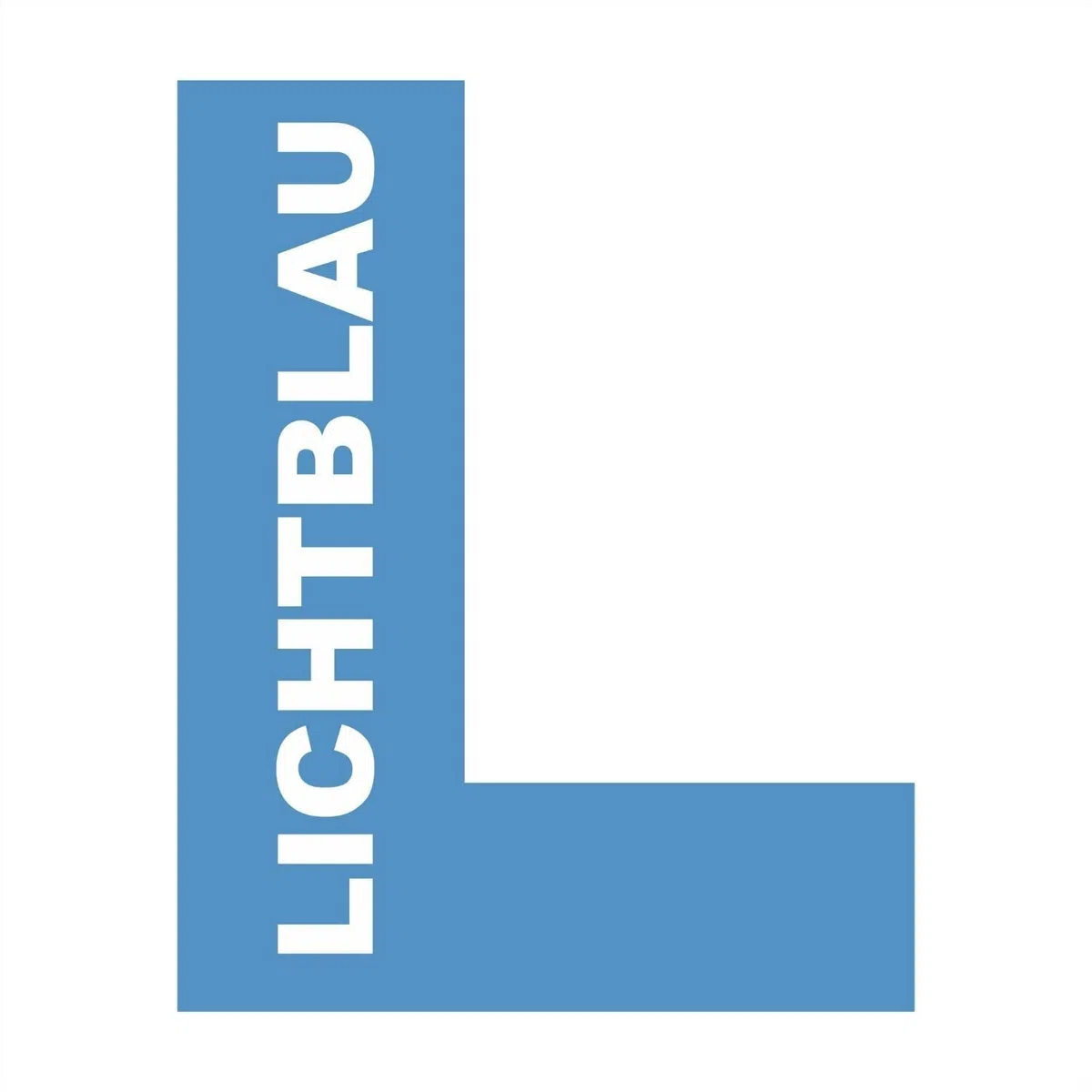 LICHTBLAU Gancio grigio per impastatrice Bosch I Gancio di ricambio adatto per MCM3100W, MCM3110W e MCM3200 I Gancio impastatore in plastica per planetarie I Ricambio per planetaria Bosch