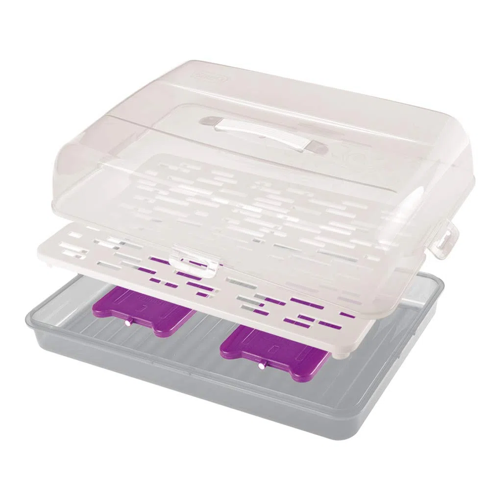 BranQ Home essential Contenitore rettangolare per torta con 2 inserti refrigeranti in plastica (PP) con copertura alta, pratica maniglia, senza BPA, trasparente/crema