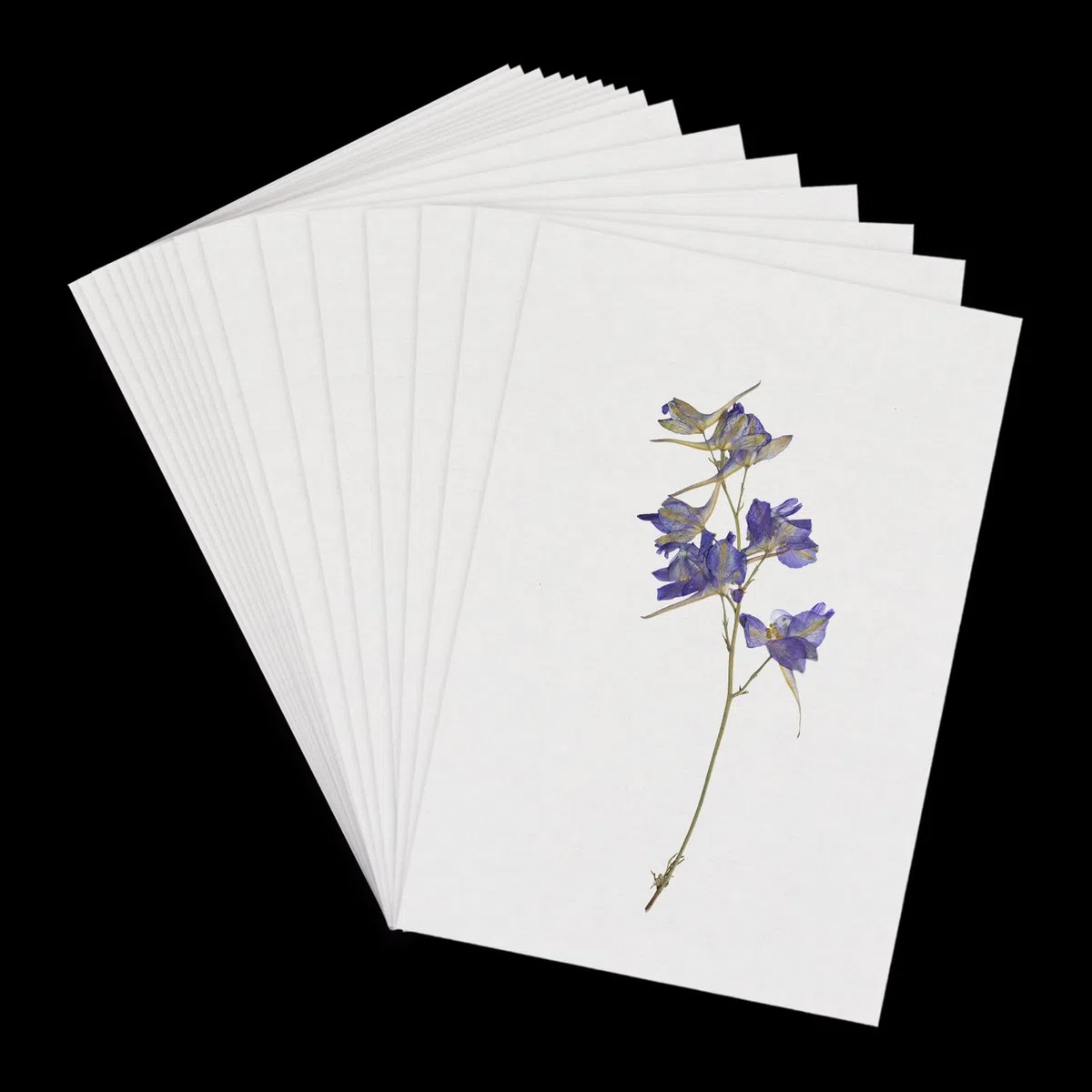 NICENEEDED 50 Fogli di Carta Assorbente per Pressa per Fiori, Carta Assorbente A4 di Grandi Dimensioni, Altamente Assorbente e Riutilizzabile, per La Stampa di Fiori, Erbario Artigianale