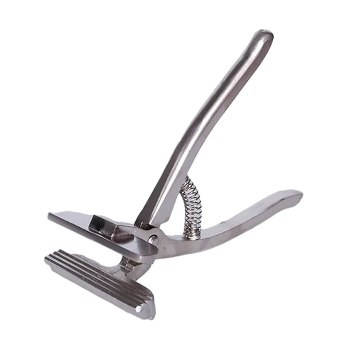 Pinza per tela telaio utensile per pittura a olio, morsetto per artisti in metallo, pinza di allungamento