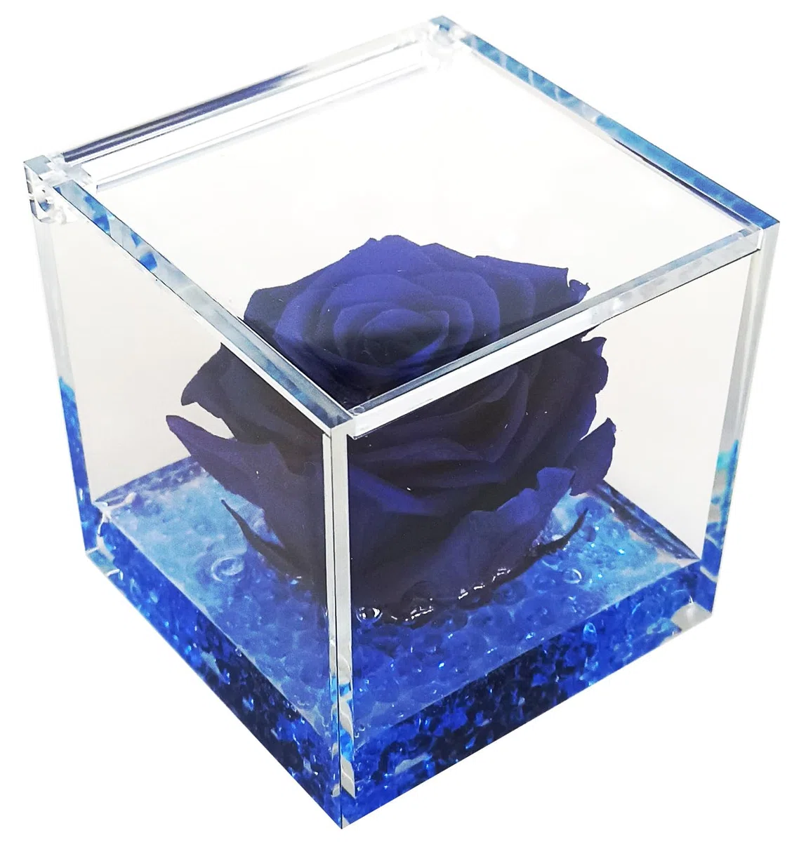 Texo di Claudio Rosso rosa vera blu, regalo donna anniversario festa pensiero mamma cerimonia dono, dura per sempre, stabilizzata e profumata in cubo 8x8x8