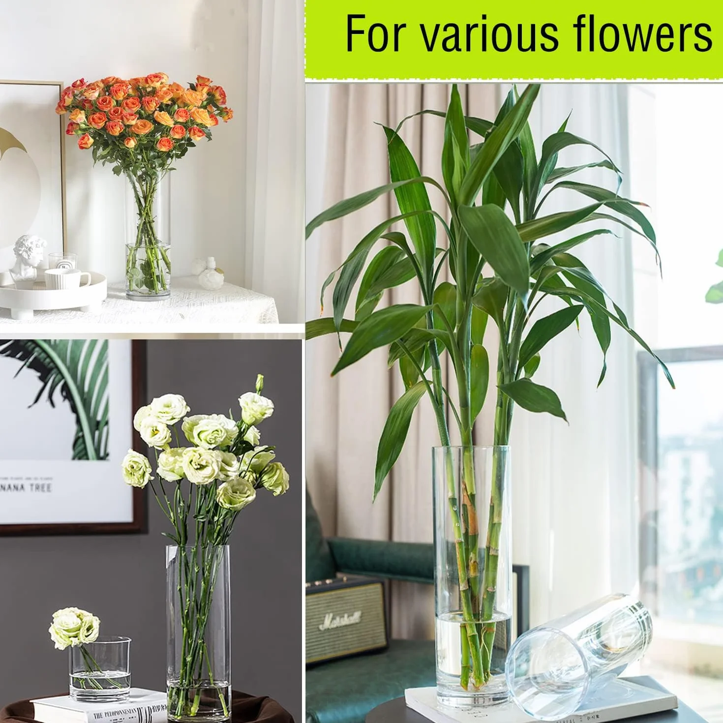 TSKDKIT Grande vaso di vetro per fiori 30 cm vaso di vetro trasparente rotondo per soggiorno moderno grande vaso (30 x 10 cm)