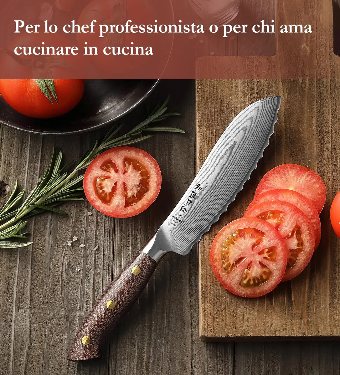HEZHEN Damasco Coltelli da Pomodoro, 67 Strati di Acciaio Damasco Coltelli ad Alto Tenore di Carbonio, Lama Seghetta Coltelli per Frutta e Verdura, Full Tang Manico in Micarta