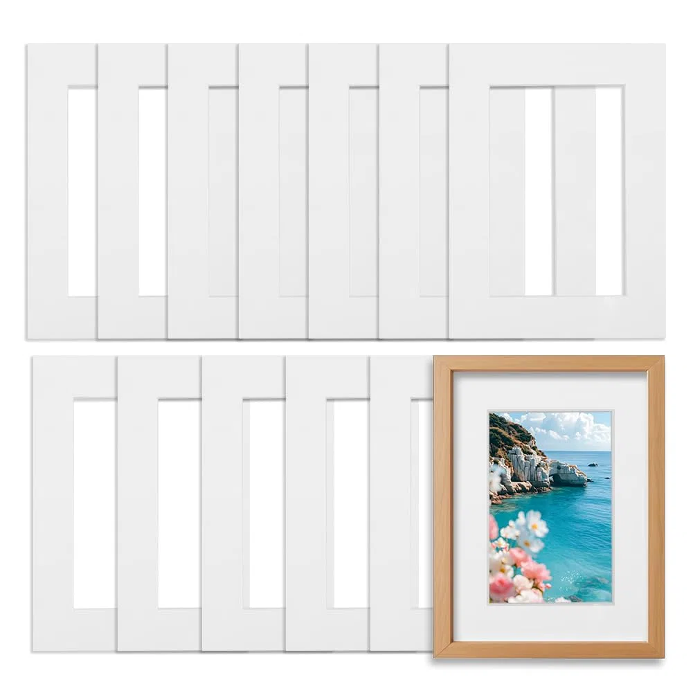 FARYODI 12 Pezzi Passepartout Dimensioni Esterne 21 * 29,6 cm, Passepartout 1mm di Spessore, per Foto in Formato 13 * 18 cm, Presentazione & Protezione, per Foto, Immagini, Stampe d’Arte, Cartoline