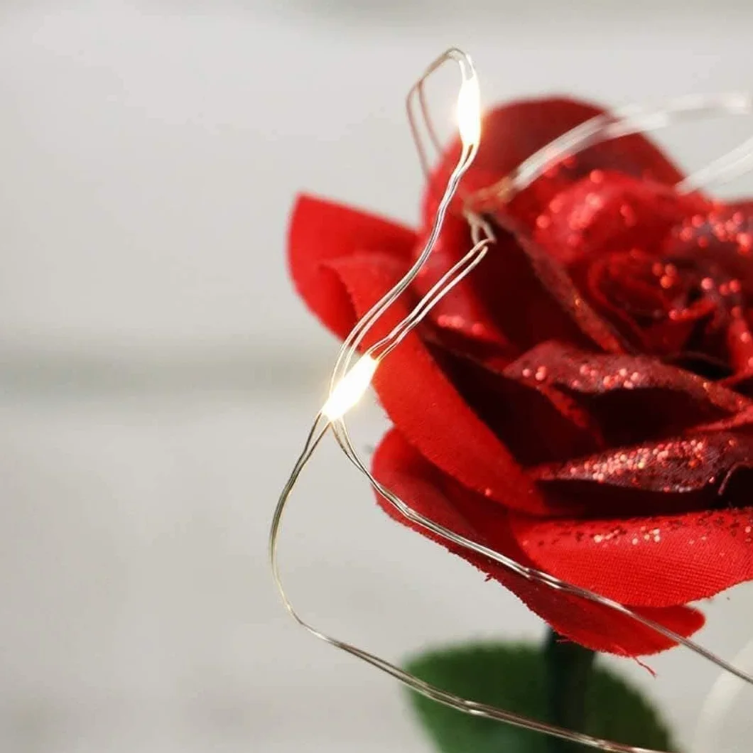 La Bella e la Bestia Rose Eterna, Rosa Incantate in Cupola di Vetro con Luci Calde, Rosà Stabilizzata Regalo per San Valentino, la Festa della Mamma, Anniversario, Moglie, Fidanzata
