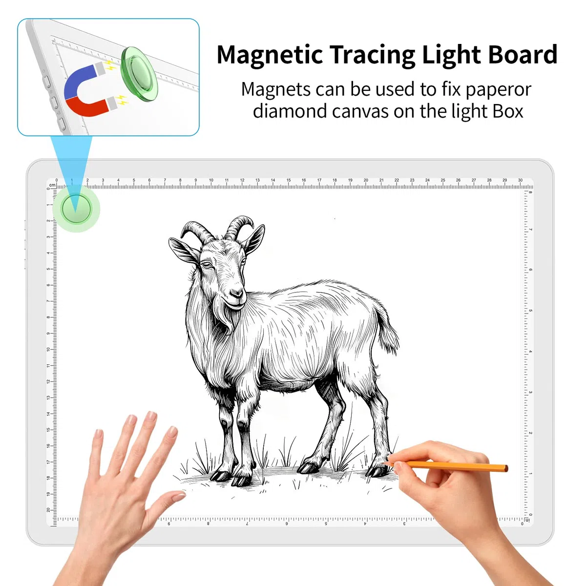 Phylosal Blocco luminoso magnetico A4, super luminoso con pulsante laterale, lavagna luminosa a diamante, per tracciare e disegnare, tavolo luminoso per schizzi, diserbo in vinile (bianco)