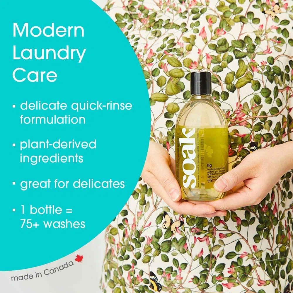 soak FIG lingerie Wash