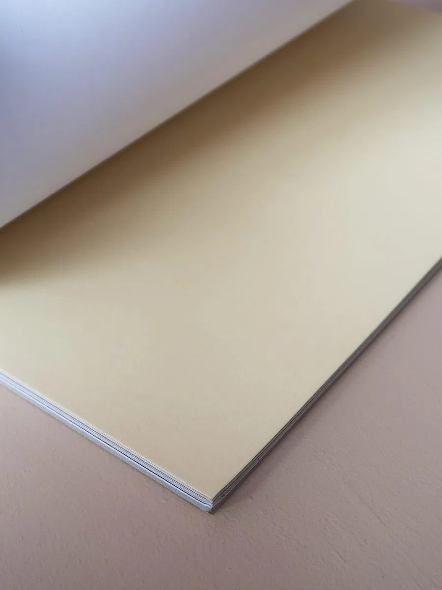 Hahnemuhle : Velour - Carta per pastelli, 24 x 32 cm, 260 g/m²