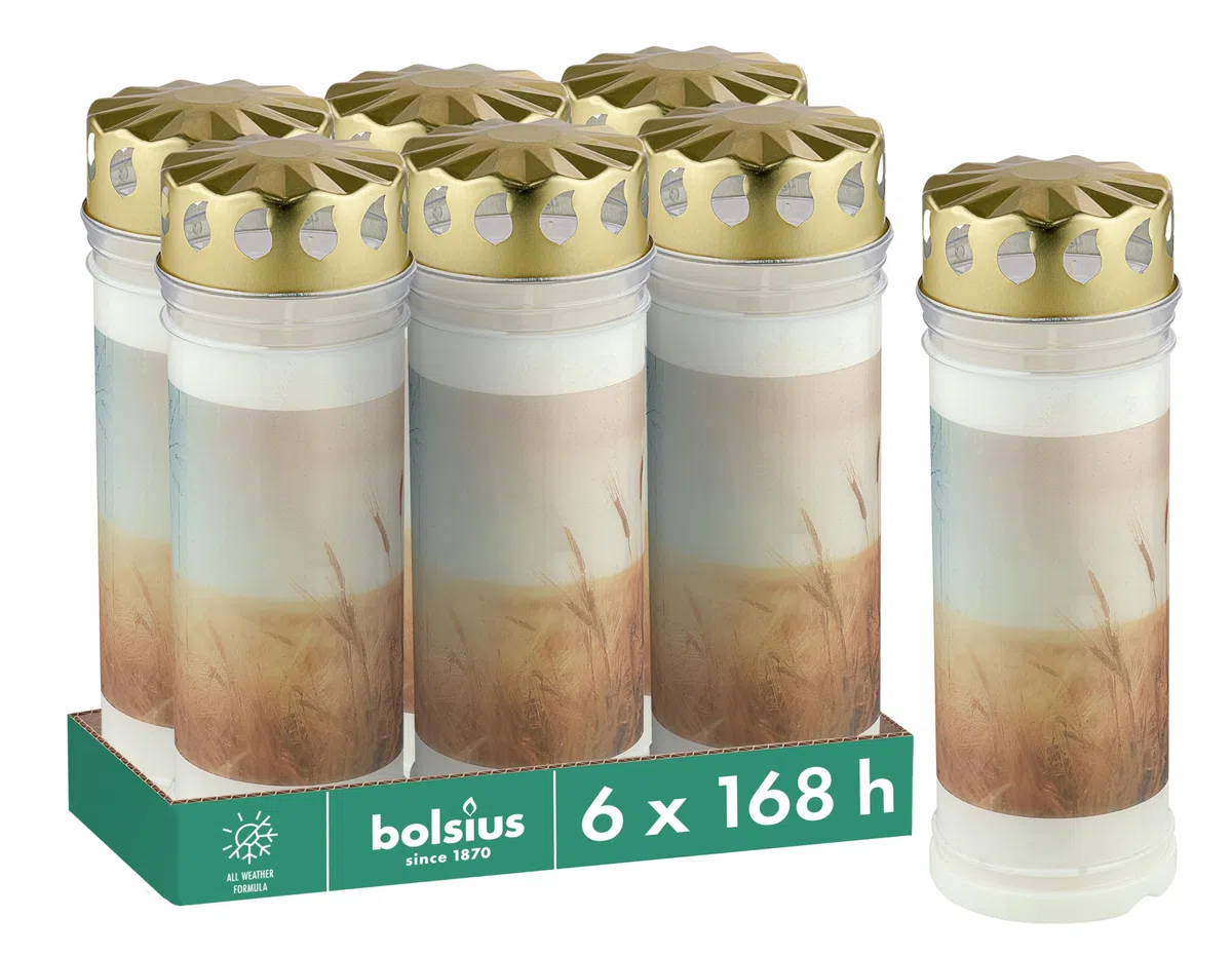 Bolsius Lumino Funerale – Bianco – 6 Pezzi – Lunghezza Durata 168 Ore – Candela Funebre & Memoriale – Con Motivo – Campi – Senza Olio di Palma – Nr. 7