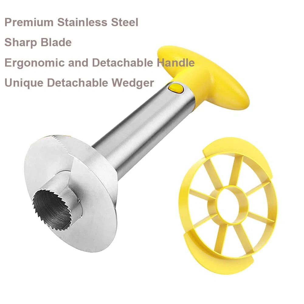 SameTech Strumento per sbucciare ananas e per rimuoverne il torsolo, in acciaio INOX, strumento per la cucina facile da usare