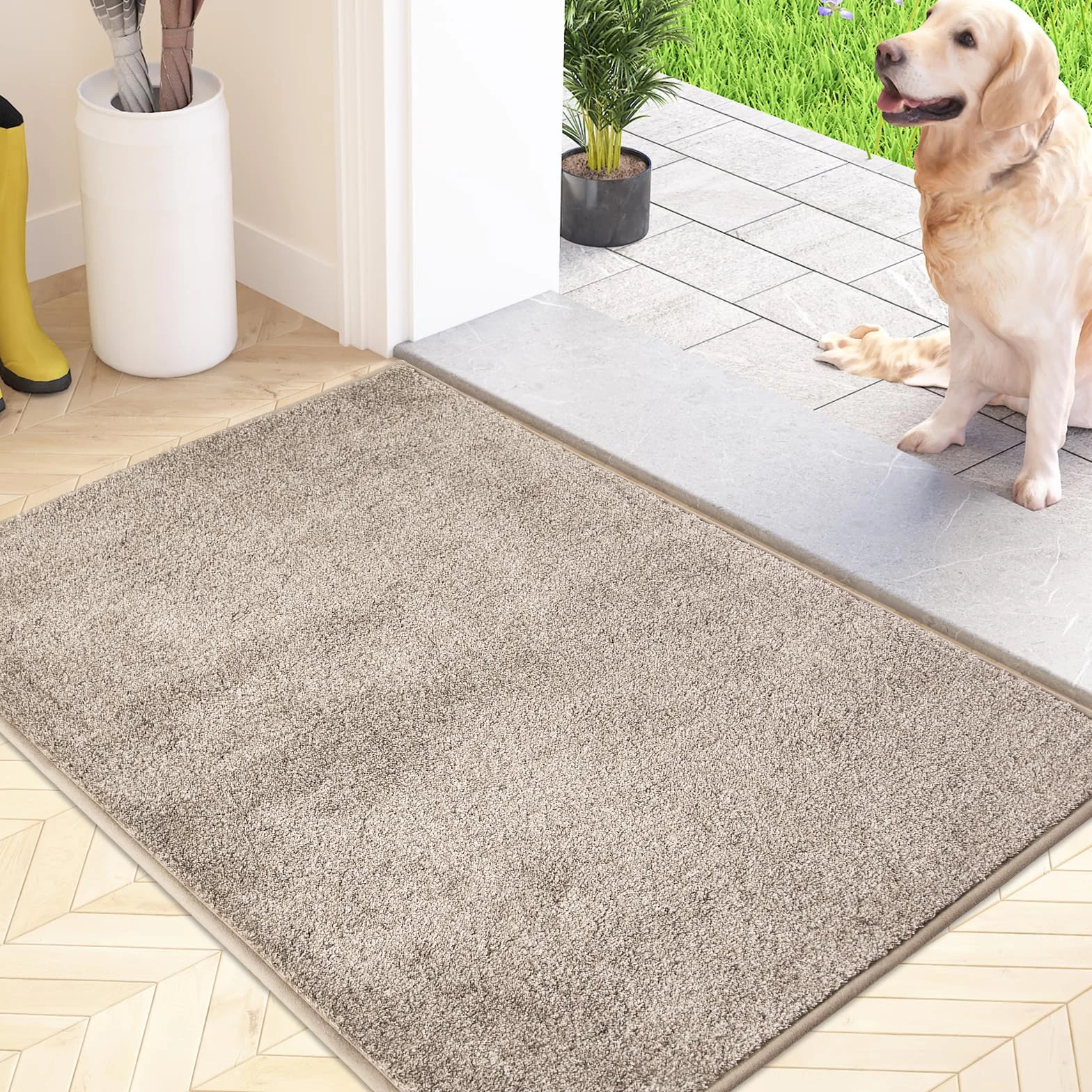 FCSDETAIL Zerbino Trappola Sporco, Tappetino Antiscivolo Lavabile in Lavatrice, Zerbino d'Ingresso con Microfibre Morbide Assorbenti per Cane, Ingresso, Porta e Corridoio