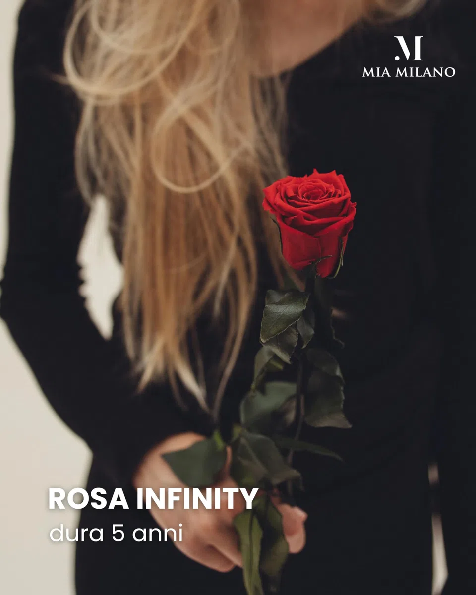 Mia Milano Rosa rossa con gambo lungo (durata 5 anni) in scatola regalo | Regalo decorativo per lei | Fiore conservato con profumo di rosa | Inclusa cartolina regalo