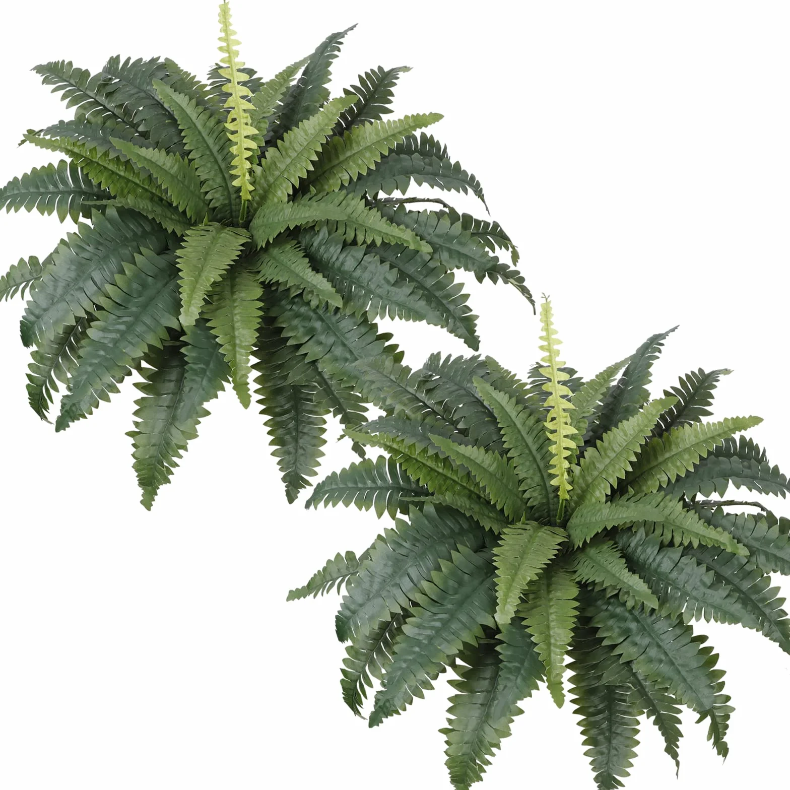 2 felci artificiali Boston - 58 cm - Piante artificiali in plastica resistente ai raggi UV - Decorazione per piscina esterna, giardino, portale