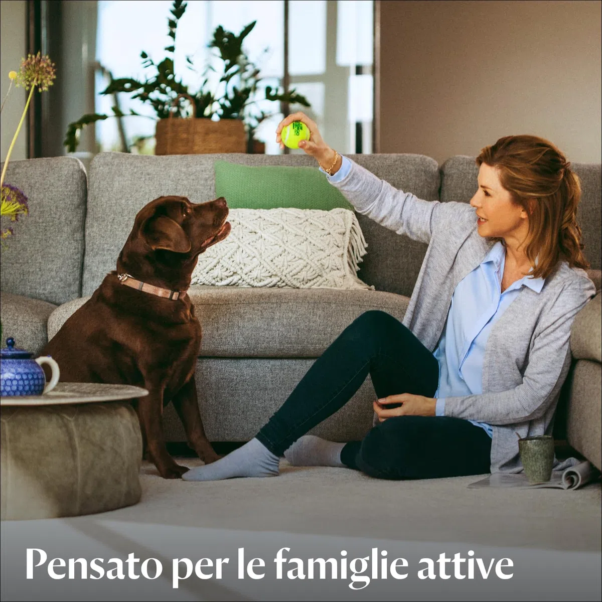 BISSELL ProHeat 2X Revolution, Lavatappeti, Lavatappezzeria con tecnologia Heatwave, Doppie spazzole, Pulitore per Tappeti, Auto, Divani, Moquette & Tappeti, 3,7L, con Cavo,Potente motore 800 W, 1858N
