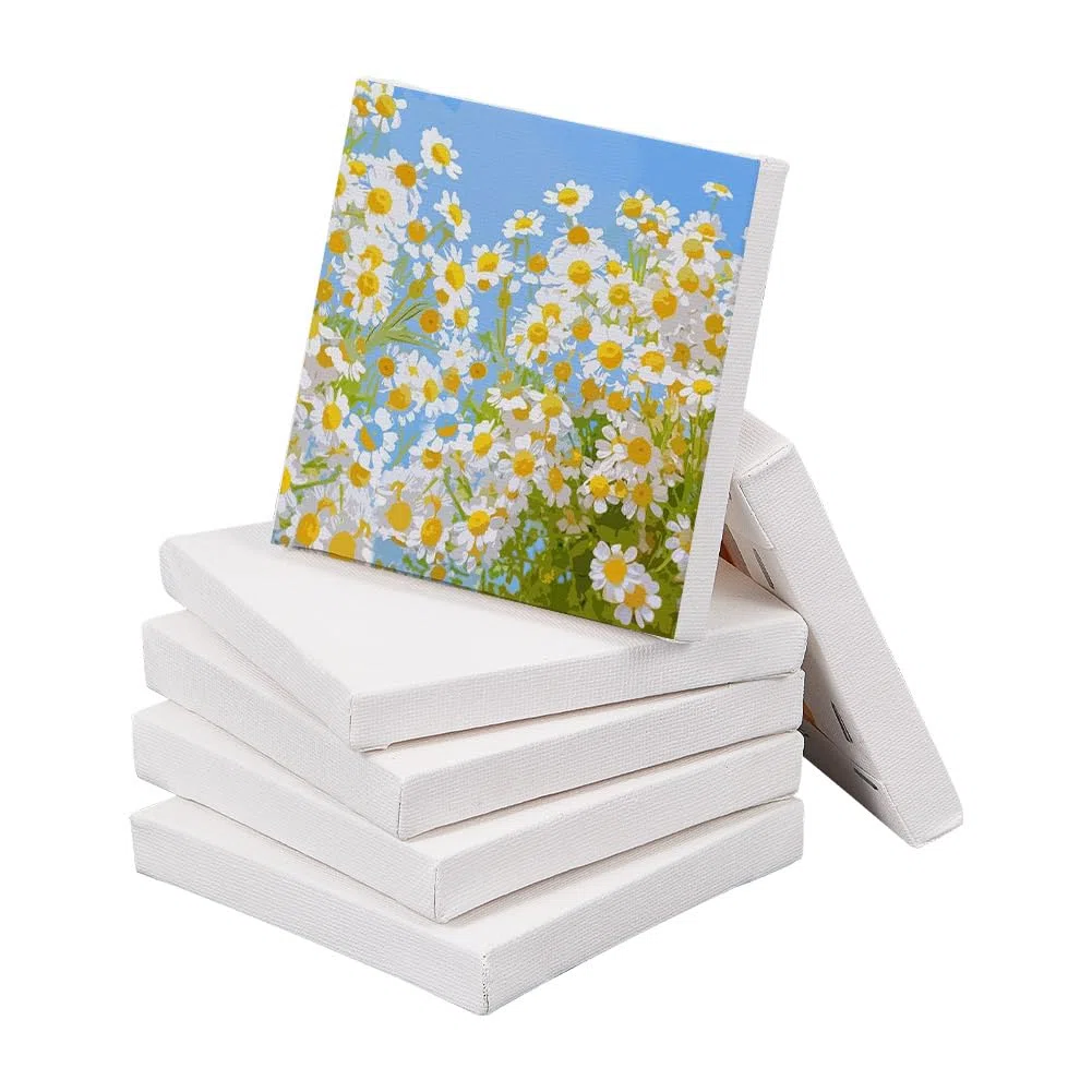 NBEADS Mini Tela, 6 Pezzi Mini Pannello da 10x10 cm 280GSM 100% Cotone Senza Acidi Tavola da Disegno per La Decorazione Artistica E Regali Artigianali Fai-da-Te