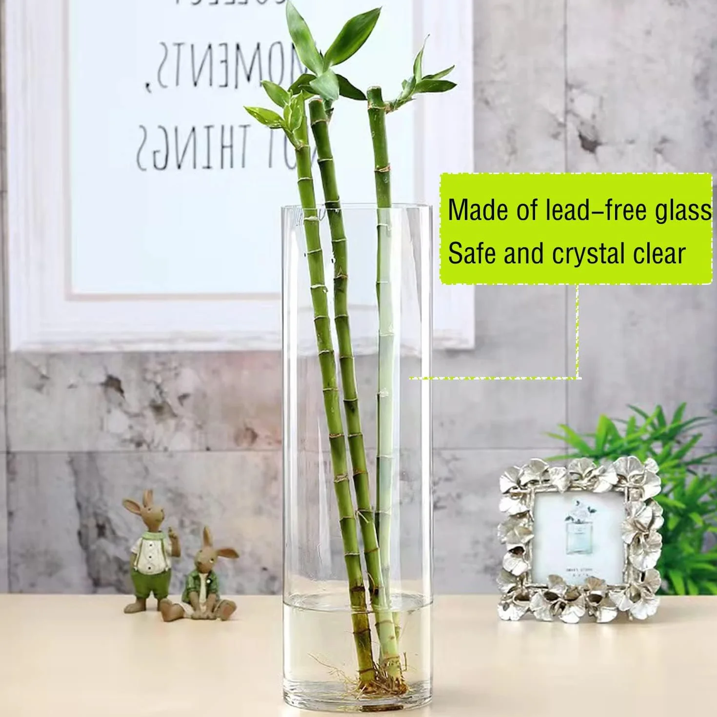 TSKDKIT Grande vaso di vetro per fiori 30 cm vaso di vetro trasparente rotondo per soggiorno moderno grande vaso (30 x 10 cm)