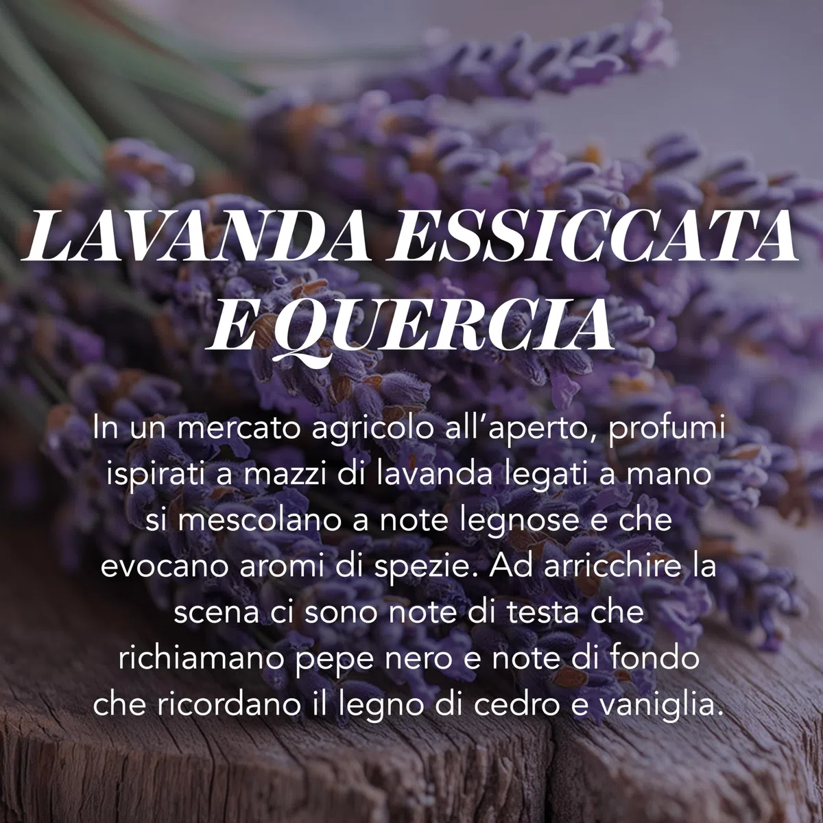 Yankee Candle Scented Candle | Candela in giara grande della Lavanda Essiccata e Quercia | Candele a lunga combustione: fino a 150 ore | Regali perfetti per le donne