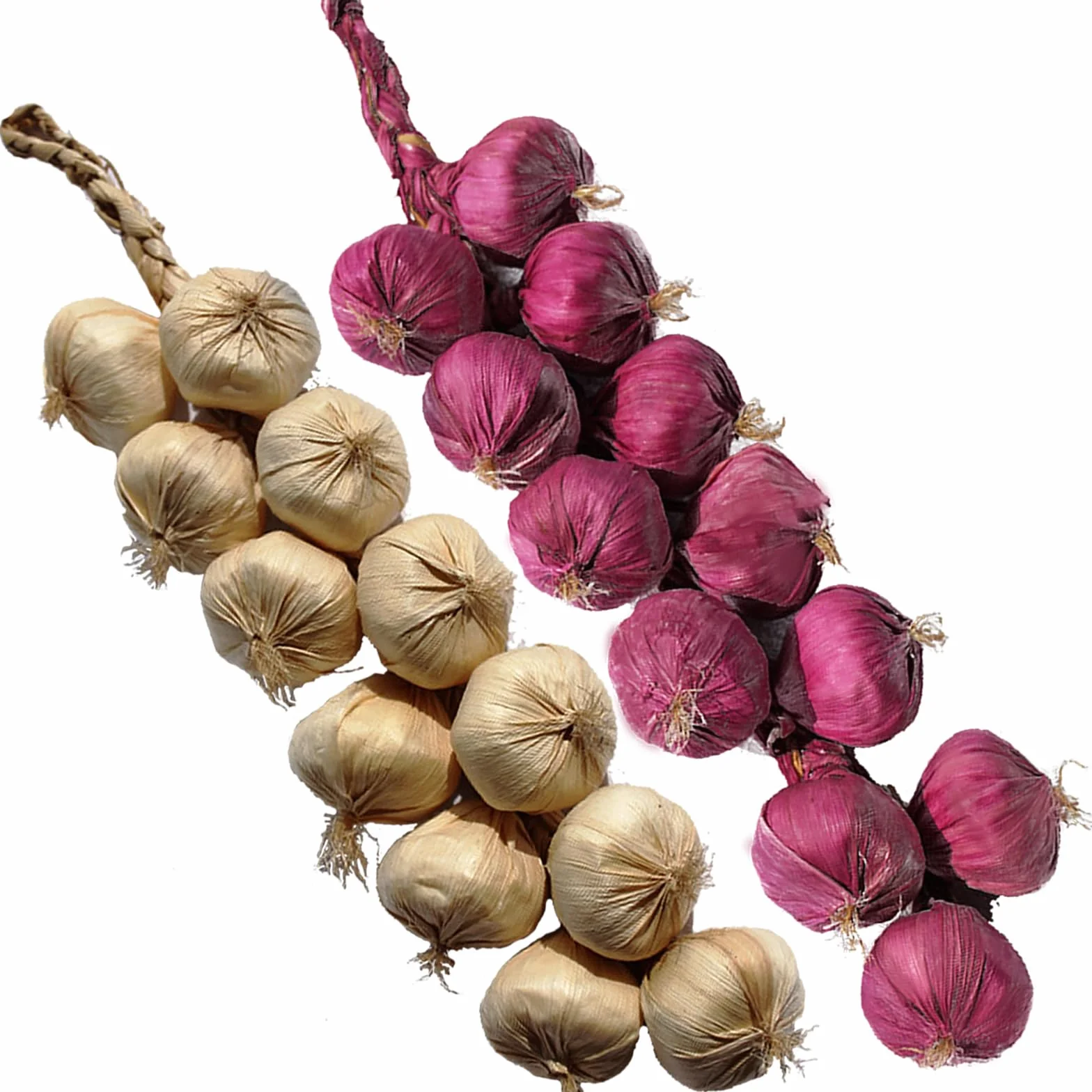Verdure artificiali aglio cipolla corde per la decorazione realistica finto aglio finto stringa imitazione decorazioni vegetali in plastica per cucina ornamento casa - 2 corde