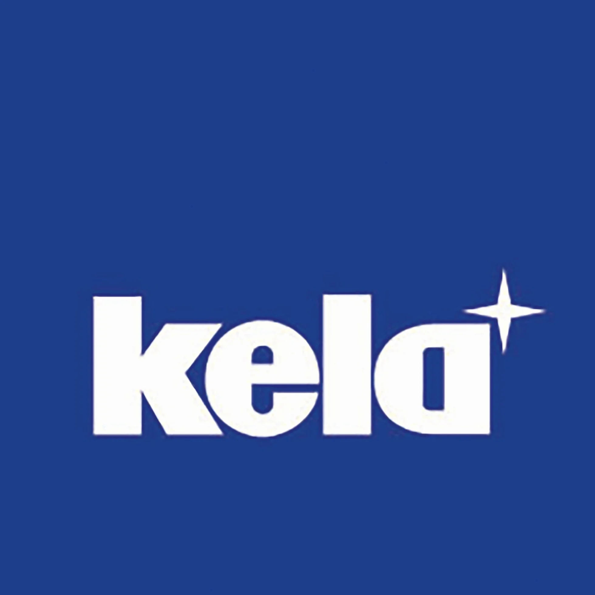 kela teglia con coperchio e pomello aromatico 8 litri KERROS con termometro per arrosti, teglia ovale per induzione, rivestita in alluminio pressofuso, pentola per stufato adatta al forno