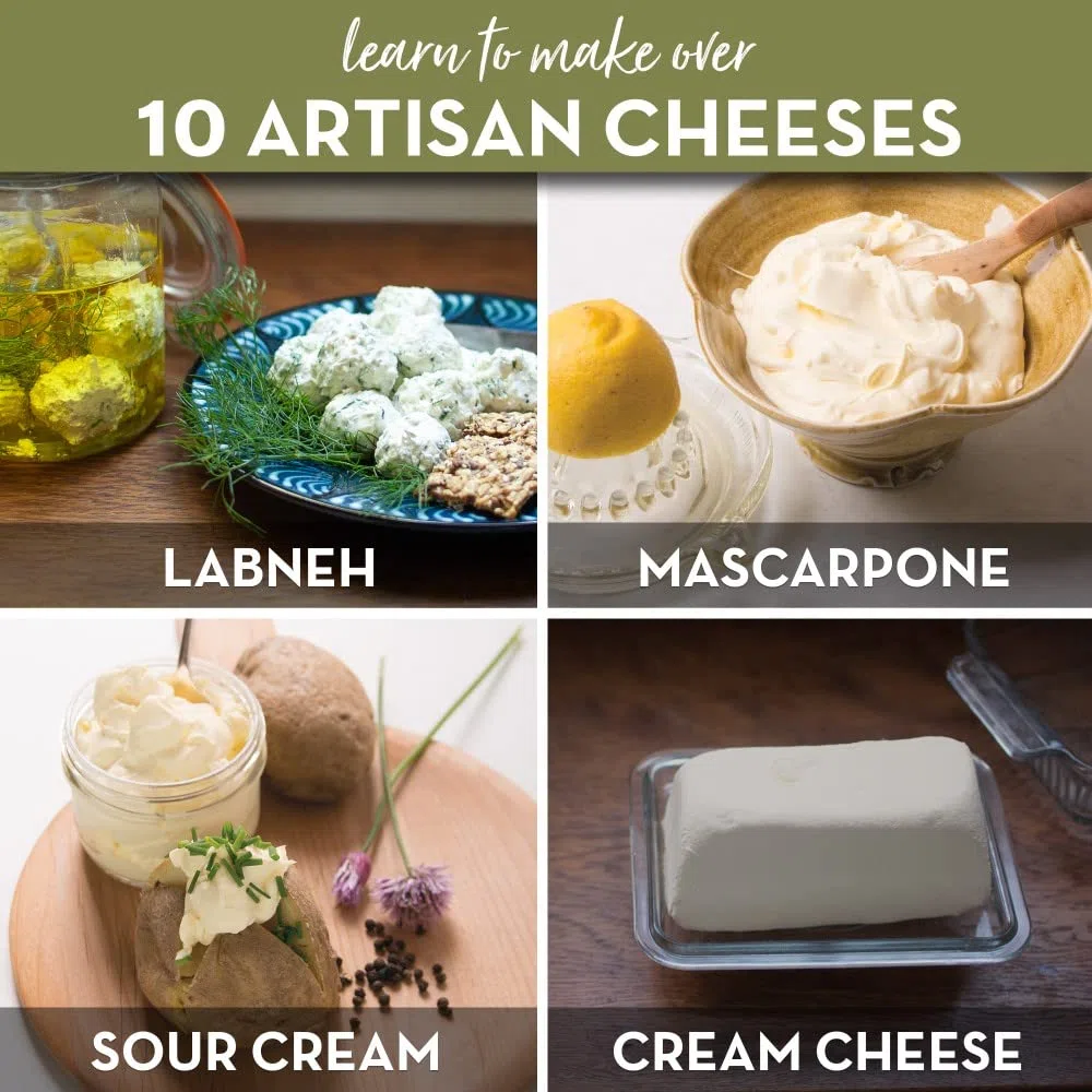 Easy Cheesemaking Kit,5 stampi per formaggi + libro per la produzione di formaggi,Made in Italy,Ricette per fare ricotta, paneer, quark e altro,Set di filtri professionali per formaggi