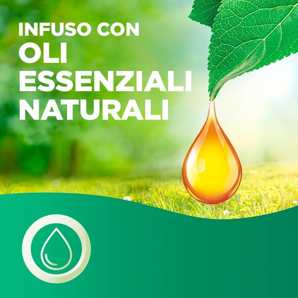 Airwick Ricariche per Diffusore di Oli Essenziali Armonia Istantanea, Confezione da 6 per Profumatore per Ambienti alla Fragranza di Mandarino e Arancia Dolce
