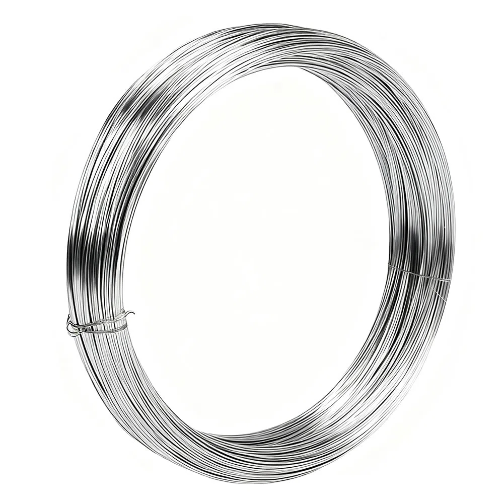 304 fili in acciaio inox, Ø 2 mm, 30 m, filo in acciaio inox argento, filo di acciaio duro, per lavori fai da te, da giardino (2 mm x 30 m)