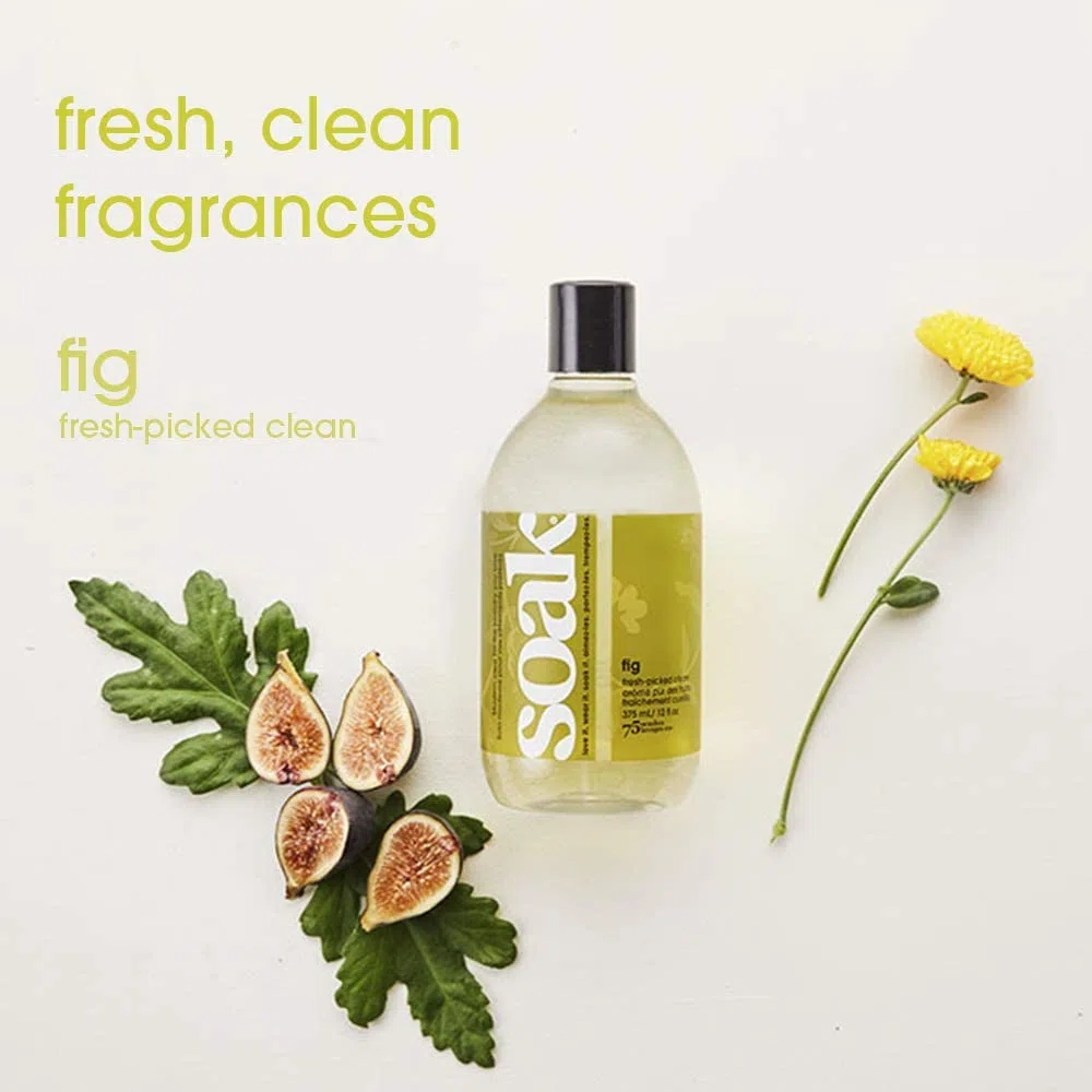 soak FIG lingerie Wash