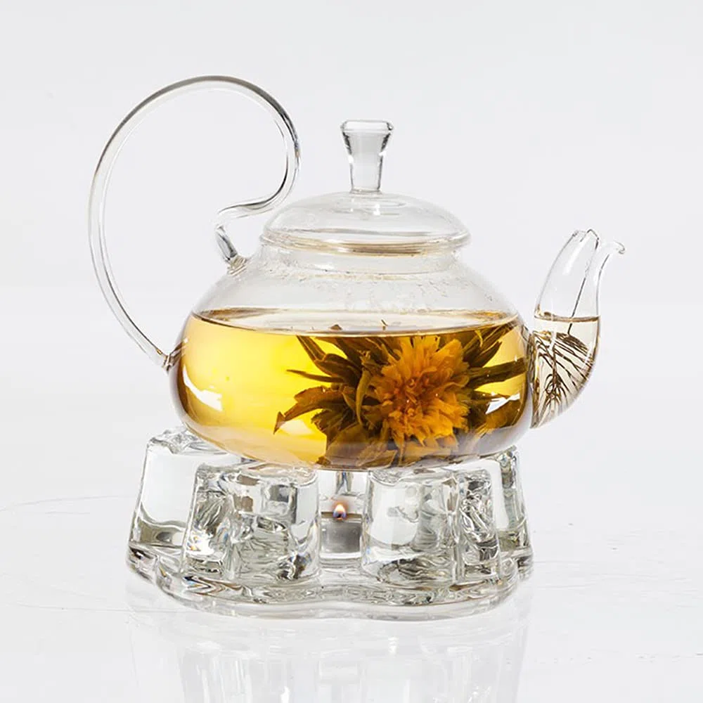 TEA SOUL Teiera in Vetro con Filtro in Acciaio • 500ml • Pratico Filtro nel beccuccio