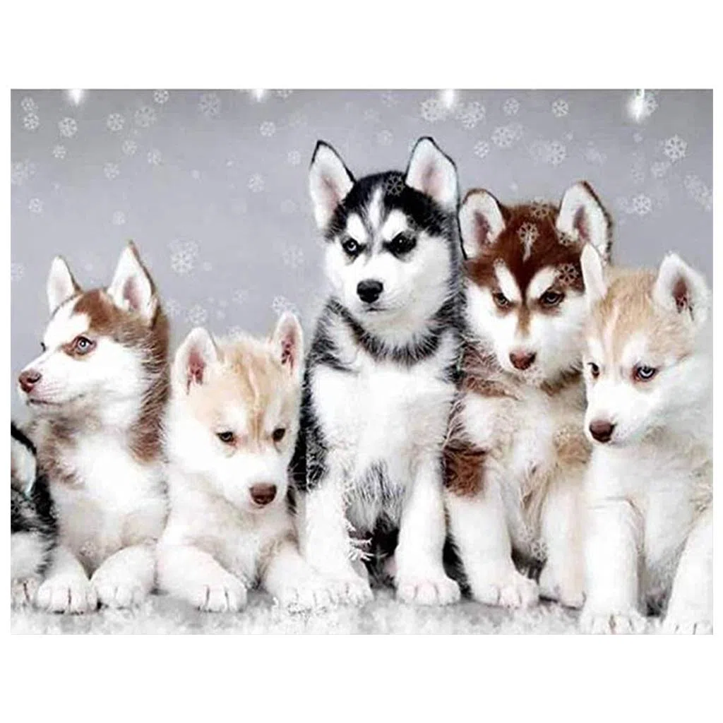 (40 x 50 cm)DIY Square Diamond Painting Full Drill kit Fai Da Te 5D con Diamantini Quadrati Famiglia Husky Ricamo Punto Croce Mosaico con i Numeri di Cristallo per Decorazione della Casa