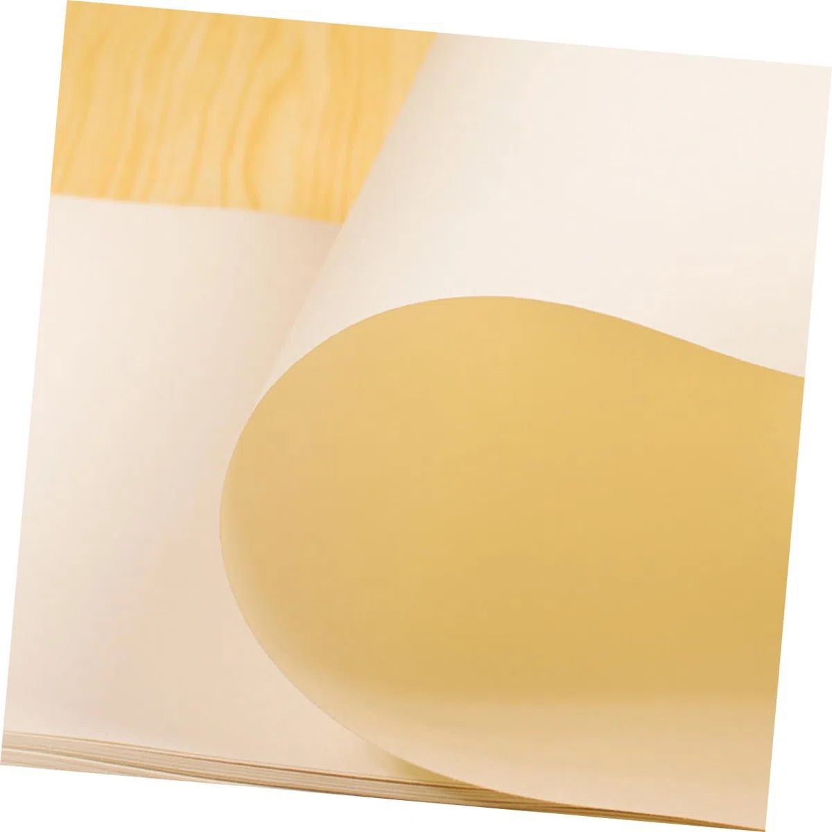 Anneome Carta da Disegno Gialla 8k 160g 40 Fogli in 2 Confezioni Compatibile Matite Inchiostri e Pastelli per Schizzi e Pittura Acrilica per Artisti Studenti