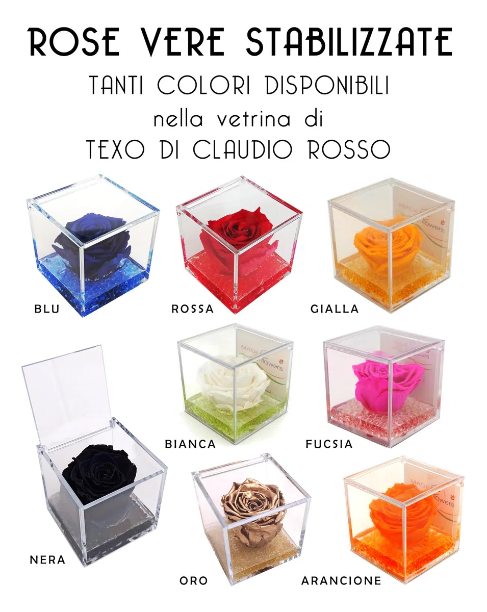 Texo di Claudio Rosso Rosa Vera Arancione Stabilizzata Profumata 8x8 Idea Regalo Fidanzata Moglie