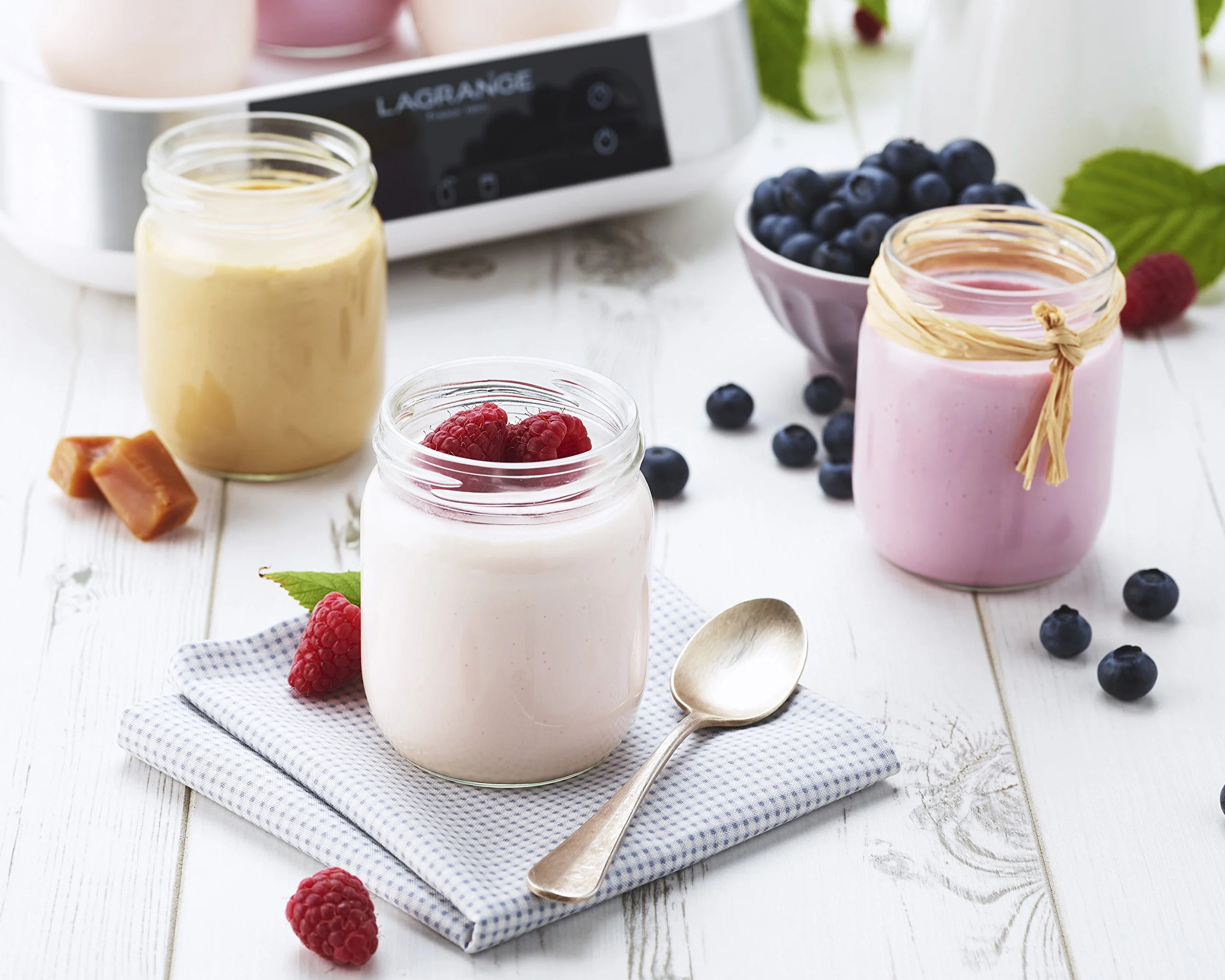 LAGRANGE, Yogurtiera Linea Produzione Francese, 9 Barattoli di Vetro 1.5L programmabile Spegnimento Automatico Segnale Suono 18W 459002