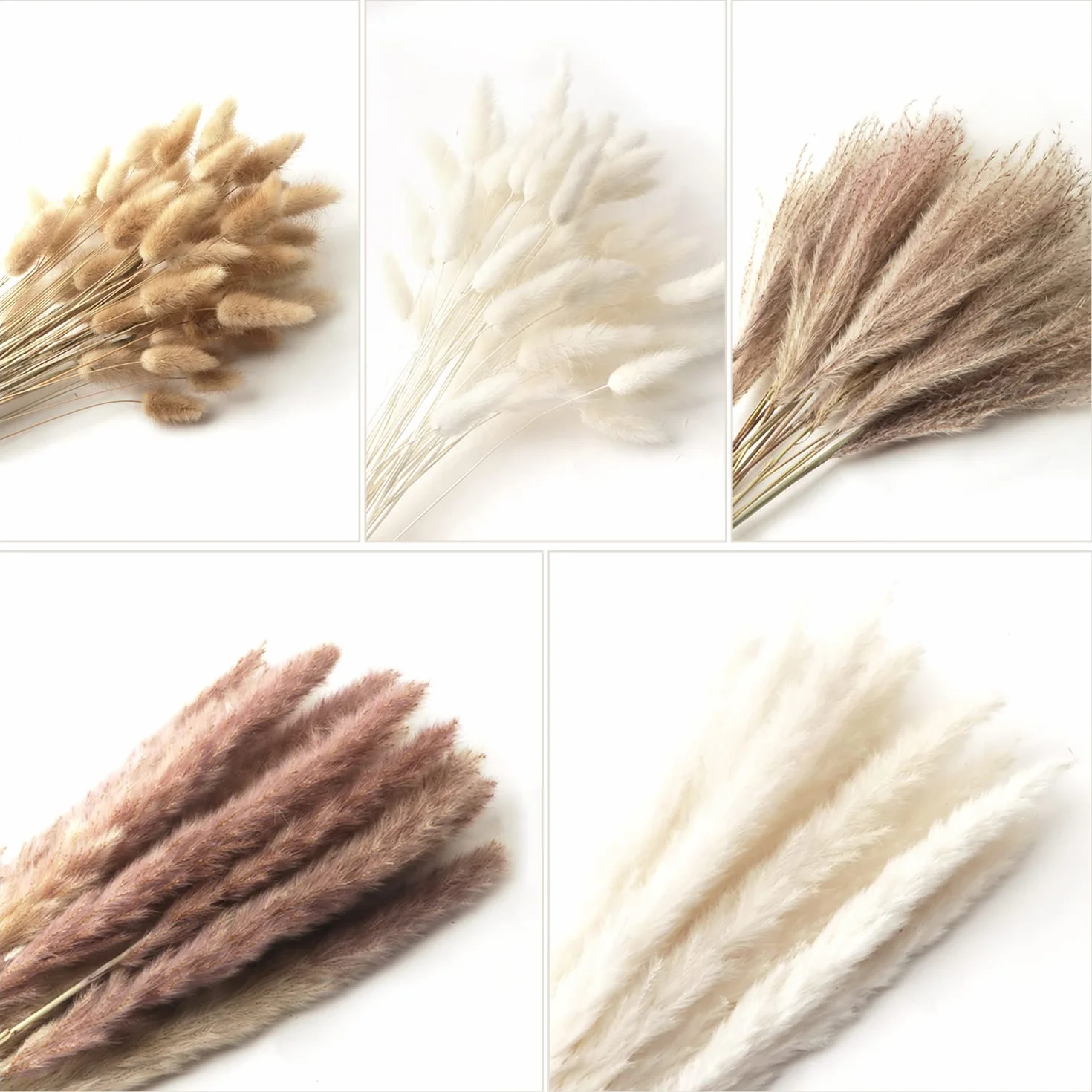 185 Pezzi Naturale Seccato Pampas Erba Decor Alta Pompa Floreale Reed Erba Coniglietto Code Seccate Boho Fiore Arrangement per Tavolo Matrimonio Soggiorno Camera da Letto Artigianato Decor, 42CM