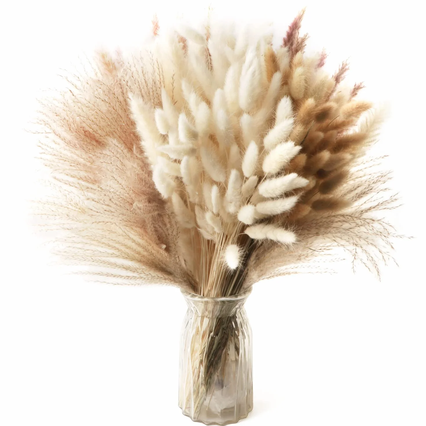 185 Pezzi Naturale Seccato Pampas Erba Decor Alta Pompa Floreale Reed Erba Coniglietto Code Seccate Boho Fiore Arrangement per Tavolo Matrimonio Soggiorno Camera da Letto Artigianato Decor, 42CM