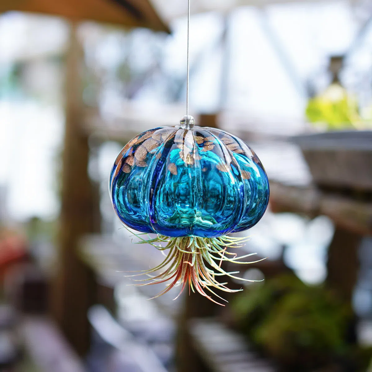 Vaso per piante aeree da appendere a forma di medusa Soffiato in vetro, dolce medusa blu, regalo per camera delle donne, giardino, decorazione per feste di nozze
